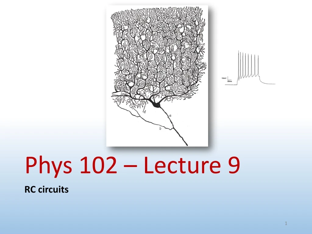 phys 102 lecture 9