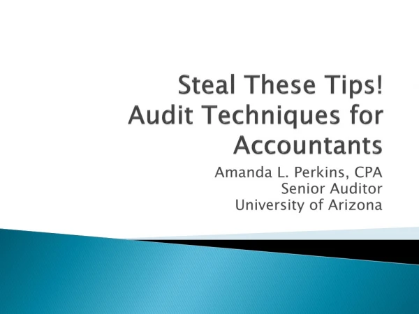 Steal These Tips! Audit Techniques for Accountants