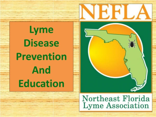 Lyme Disease Prevention And Education