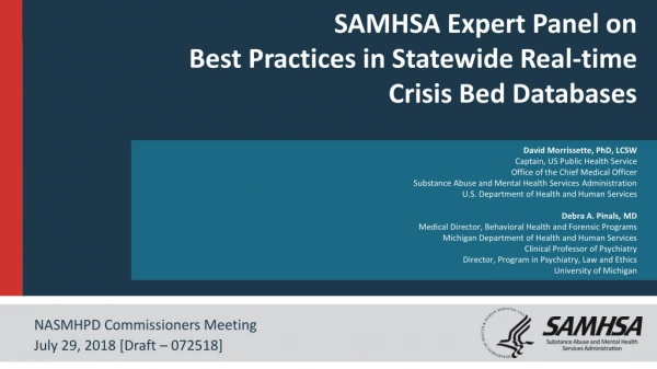SAMHSA Expert Panel on Best Practices in Statewide Real-time Crisis Bed Databases
