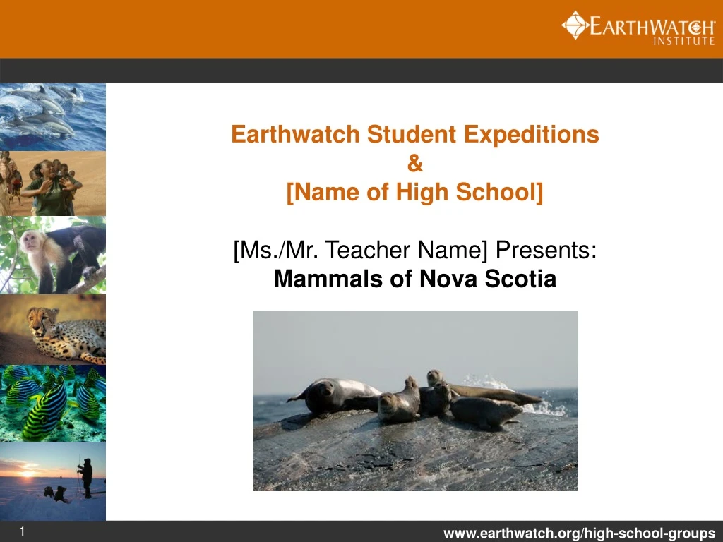 earthwatch student expeditions name of high