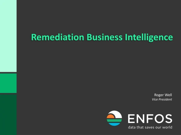 Remediation Business Intelligence