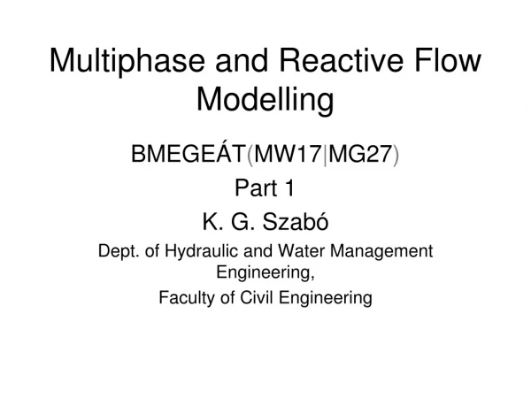 Multiphase and Reactive Flow Modelling