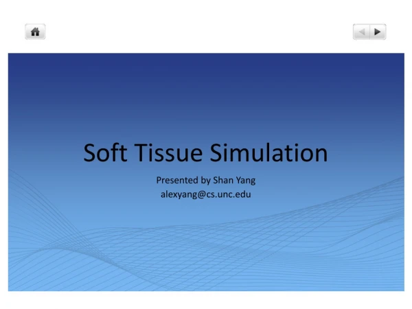 Soft Tissue Simulation