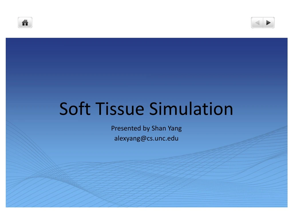 soft tissue simulation