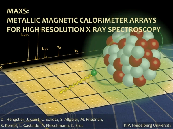 maXs : Metallic Magnetic Calorimeter Arrays for High Resolution X-Ray Spectroscopy