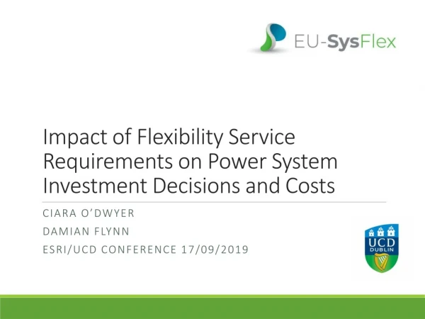Impact of Flexibility Service Requirements on Power System Investment Decisions and Costs