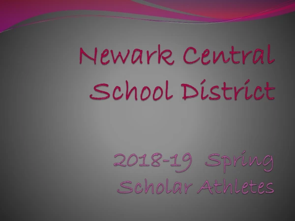 Newark Central School District 2018-19 Spring Scholar Athletes