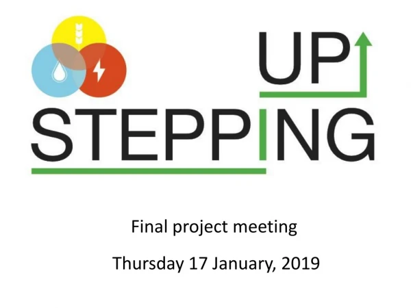 Final project meeting Thursday 17 January, 2019