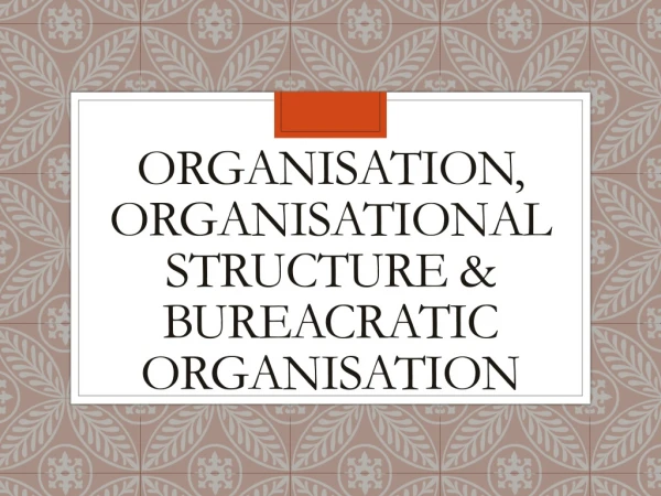 ORGANISATION, ORGANISATIONAL STRUCTURE &amp; BUREACRATIC ORGANISATION