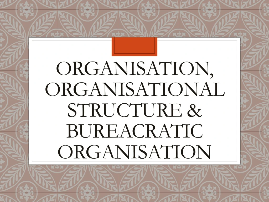 organisation organisational structure bureacratic organisation