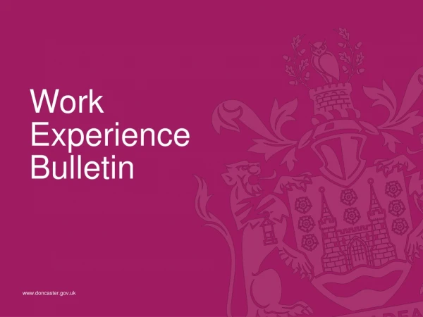 Work Experience Bulletin