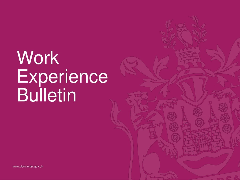 work experience bulletin