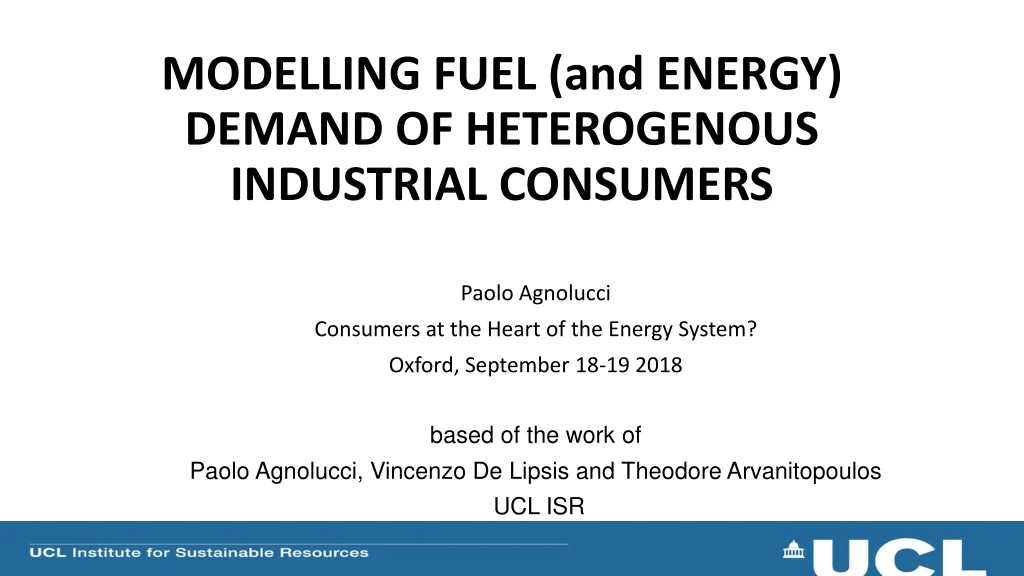 modelling fuel and energy demand of heterogenous industrial consumers