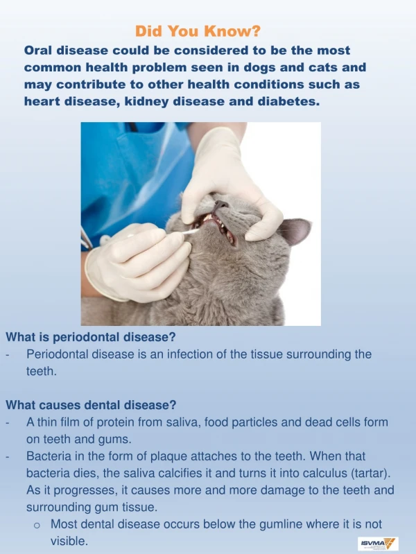 What is periodontal disease?