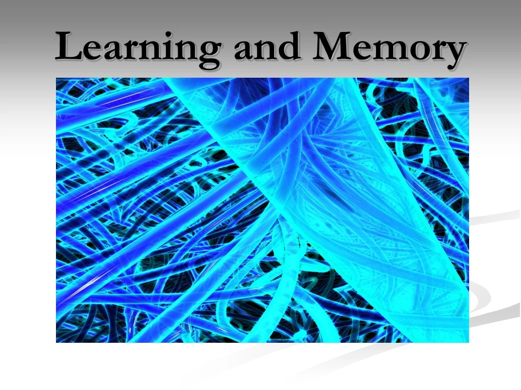 learning and memory