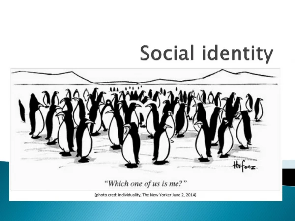Social identity