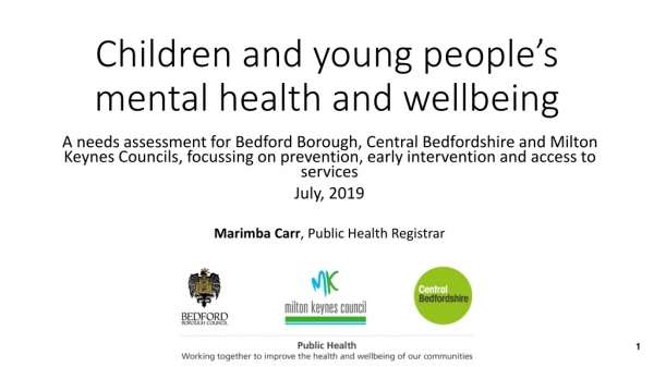 Children and y oung people’s mental health and wellbeing