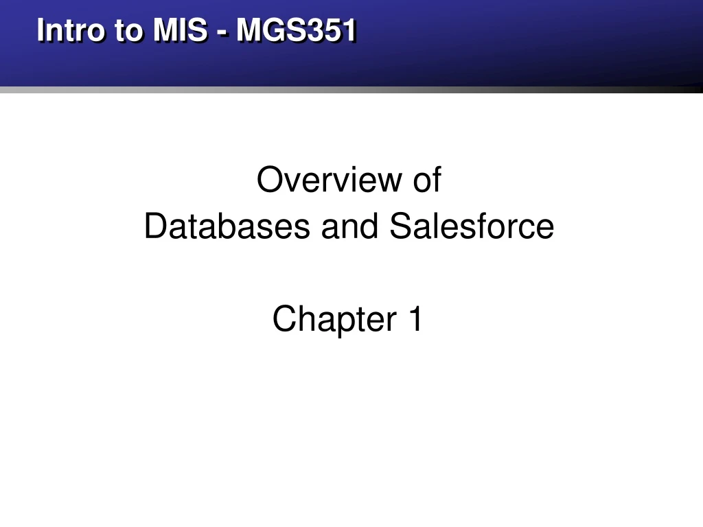 intro to mis mgs351