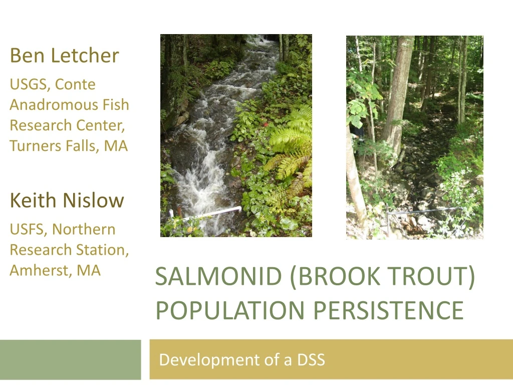 salmonid brook trout population persistence
