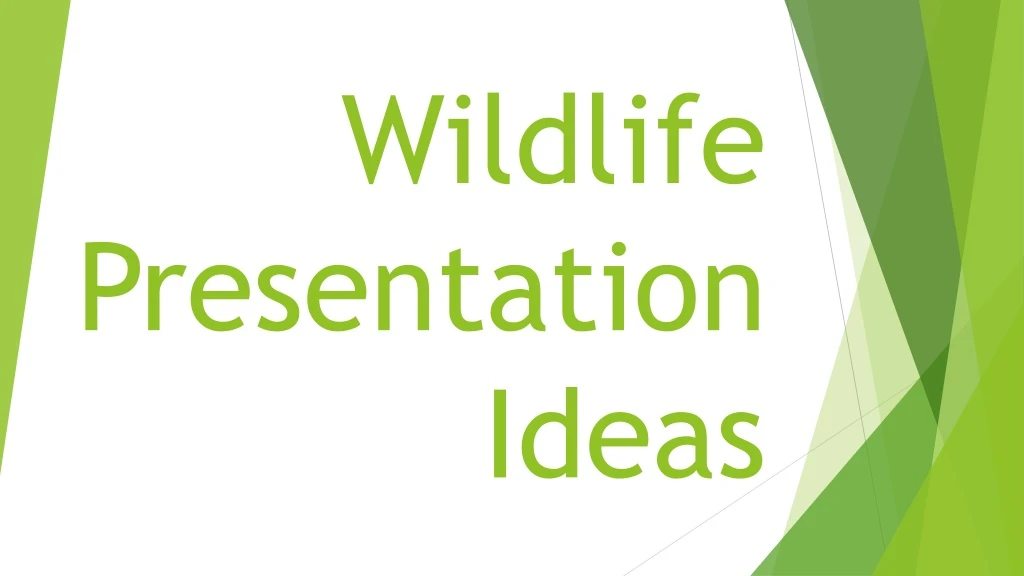 wildlife presentation ideas