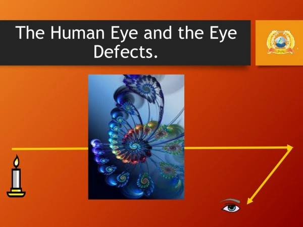 The Human Eye and the Eye Defects.