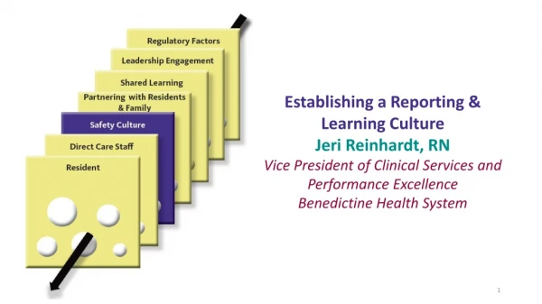 Establishing a Reporting &amp; Learning Culture Jeri Reinhardt, RN
