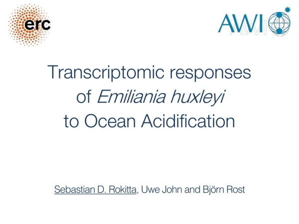 Transcriptomic responses of Emiliania huxleyi to Ocean Acidification