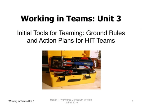 Working in Teams: Unit 3