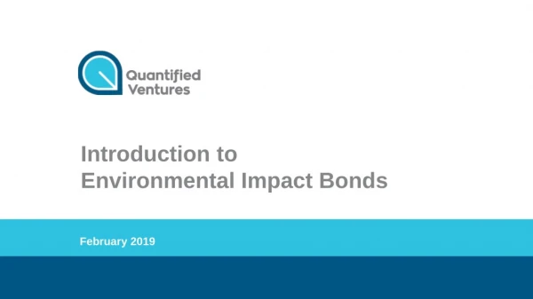 Introduction to Environmental Impact Bonds