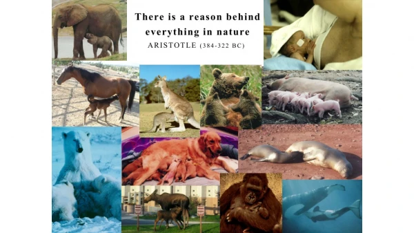 There is a reason behind everything in nature Aristotle (384-322 BC) )