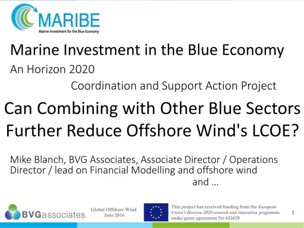 Marine Investment in the Blue Economy