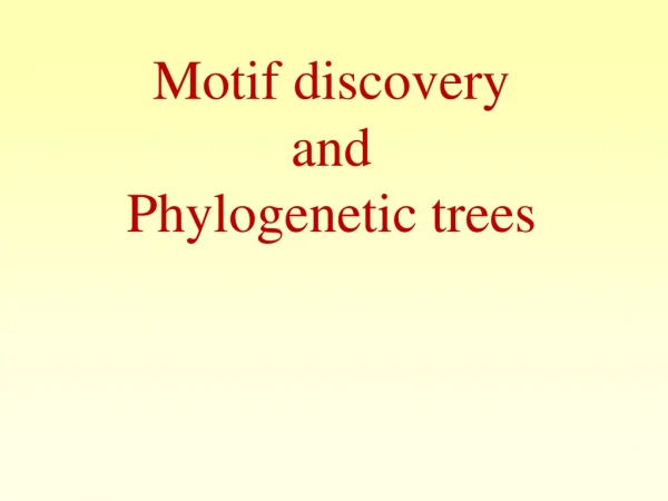 Motif discovery and Phylogenetic trees