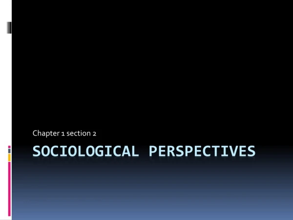 SOCIOLOGICAL PERSPECTIVES