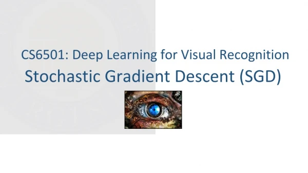 Stochastic Gradient Descent (SGD)