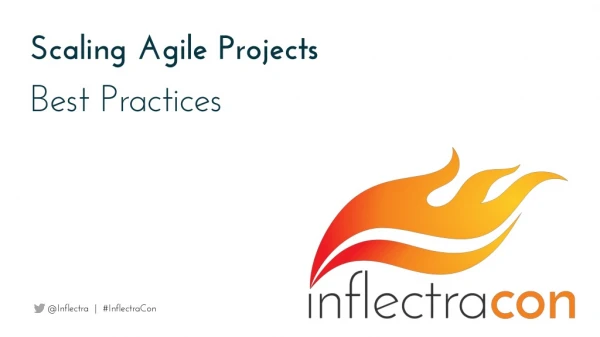 Scaling Agile Projects
