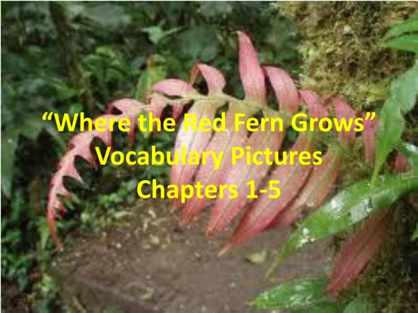 “Where the Red Fern Grows” Vocabulary Pictures Chapters 1-5
