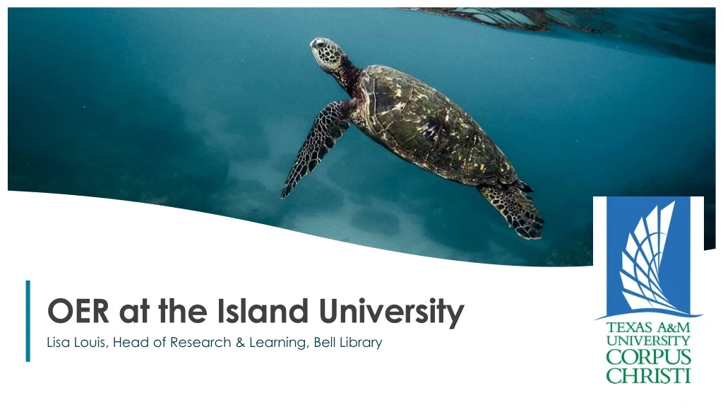 oer at the island university