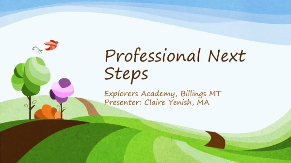 Professional Next Steps