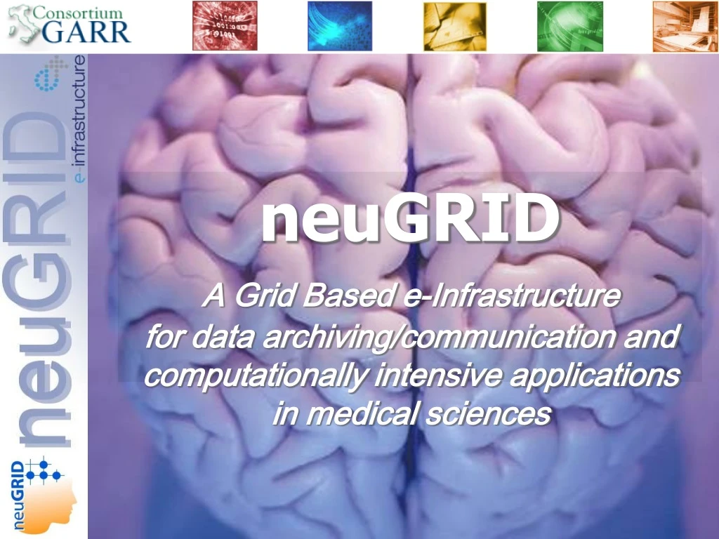 neugrid a grid based e infrastructure for data