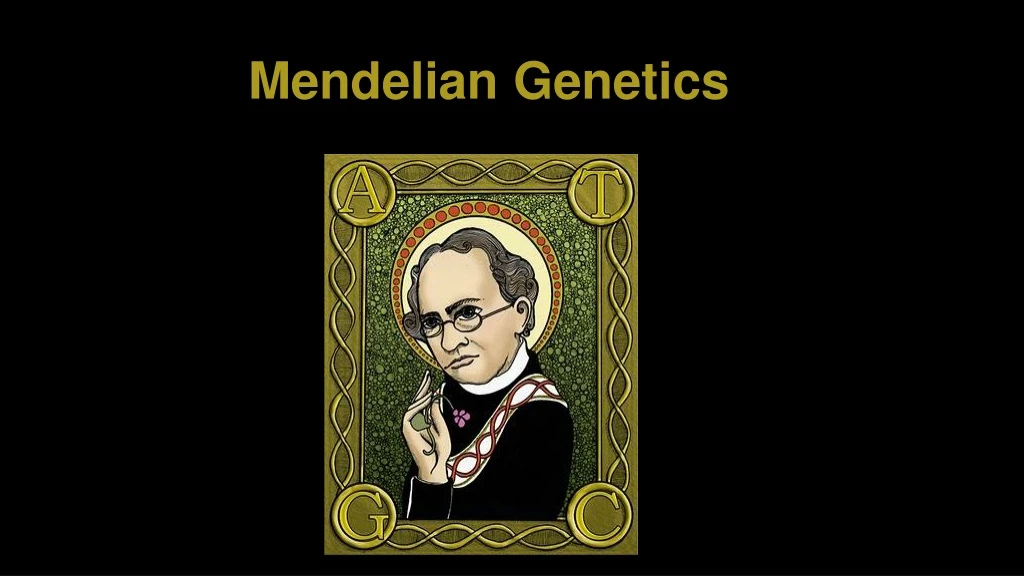 mendelian genetics