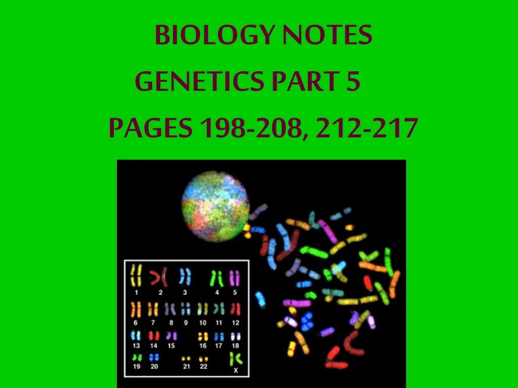 biology notes genetics part 5 pages 198 208 212 217