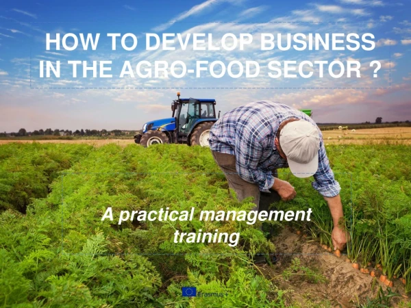 HOW TO DEVELOP BUSINESS IN THE AGRO-FOOD SECTOR ?