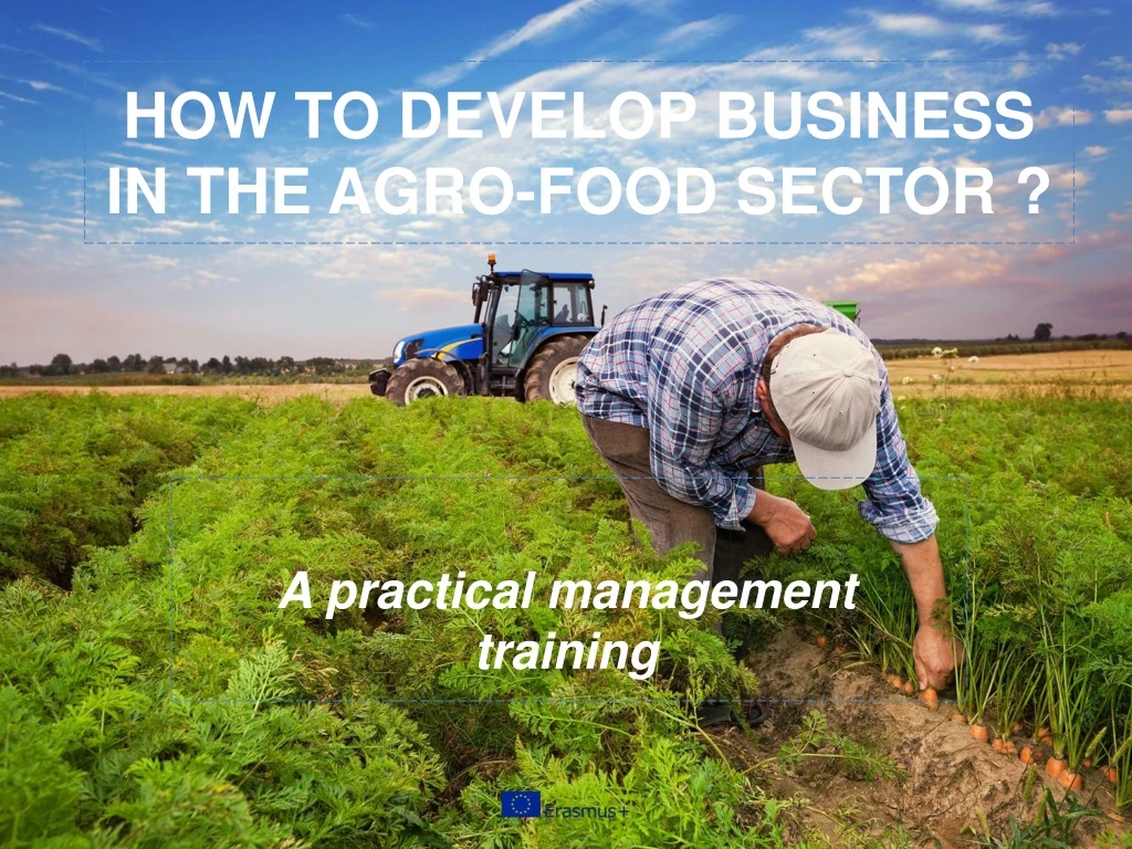 how to develop business in the agro food sector