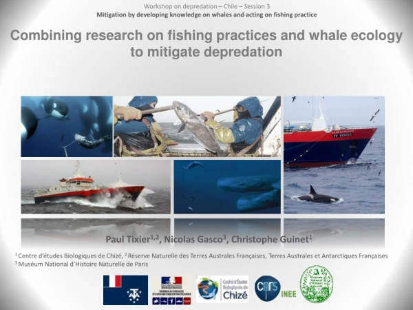 Combining research on fishing practices and whale ecology to mitigate depredation