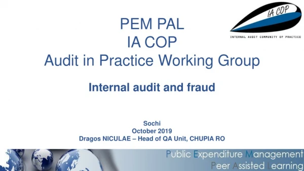 PEM PAL IA COP Audit in Practice Working Group