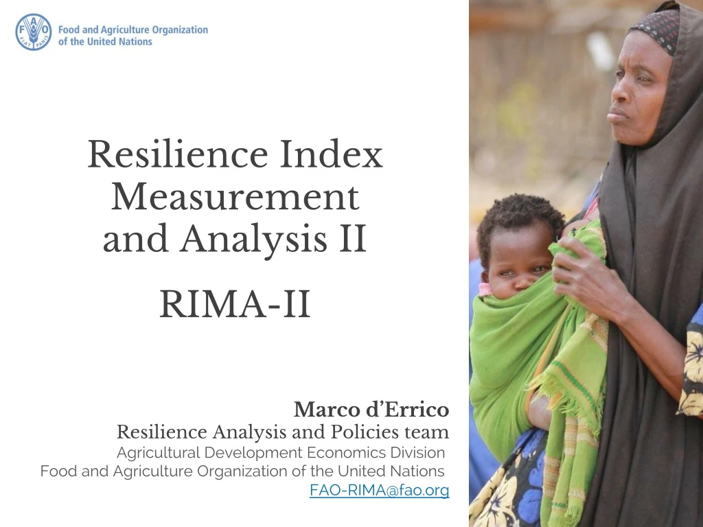 resilience index measurement and analysis ii rima ii