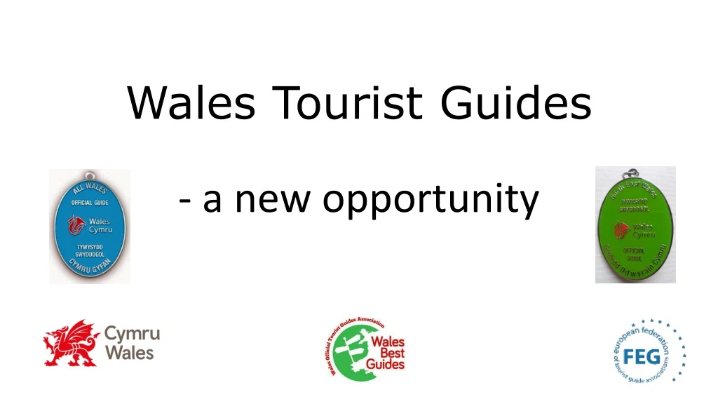 wales tourist guides