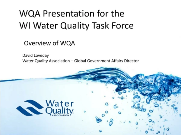 WQA Presentation for the WI Water Quality Task Force