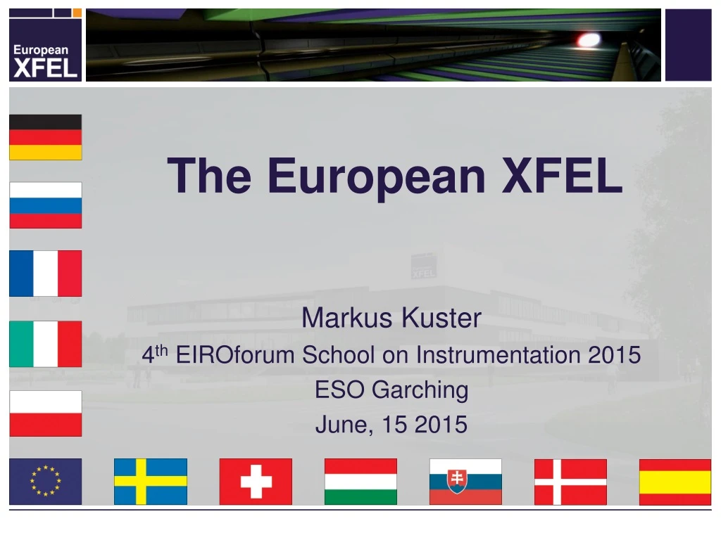 the european xfel